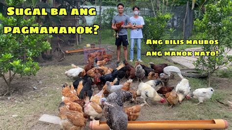 Naubos sa sugal ang kabuhayan .